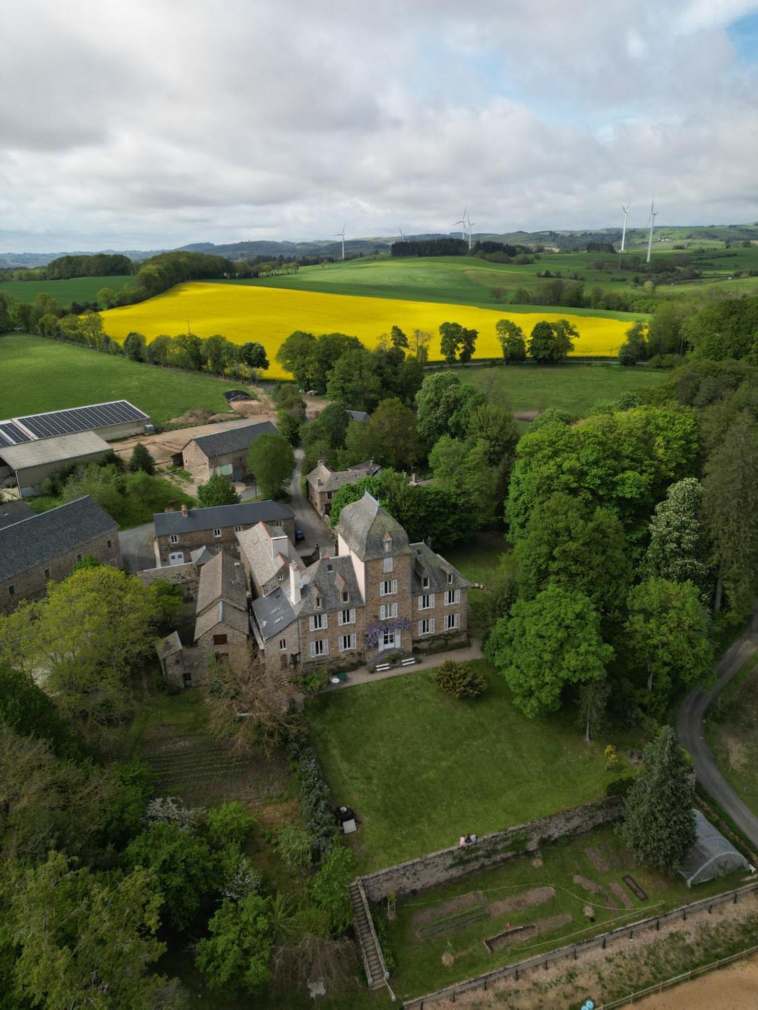 Le Domaine De Linars - L'Aile Du Chateau Villa Le Truel Exterior foto